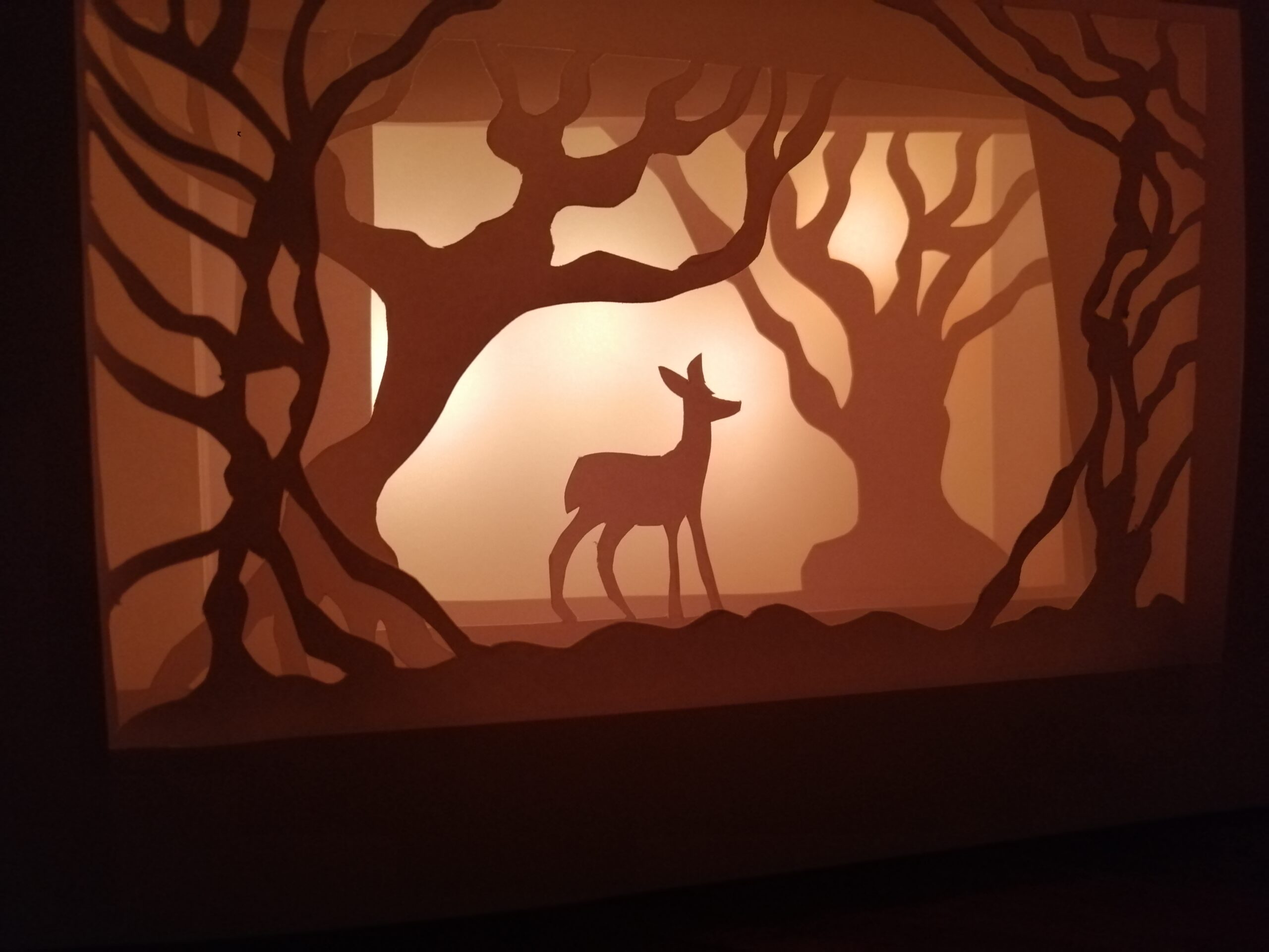 IMG_20250302_193016 Faon au petit matin dans les bois