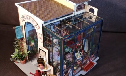 Flower Shop – Boutique du fleuriste – Rolife